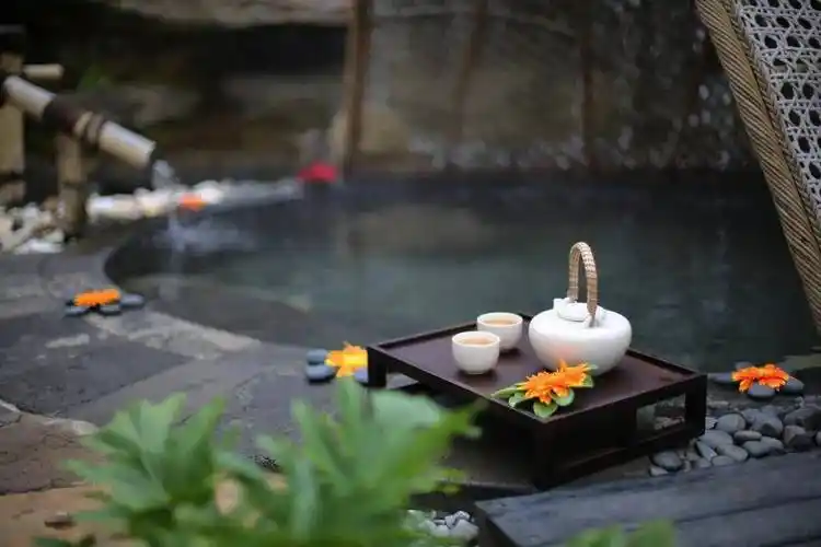 地熱溫泉醫養行業賦能新質生產力發展-地熱開發利用-地大熱能 地熱溫泉醫養行業賦能新質生產力發展-地熱開發利用-地大熱能